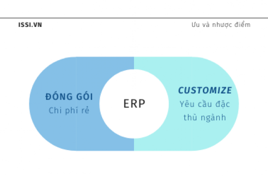 Ưu nhược điểm của phần mềm ERP đóng gói và ERP customize